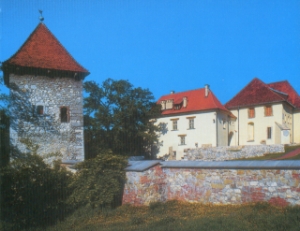 Zamek upny(widok od strony zachodniej)